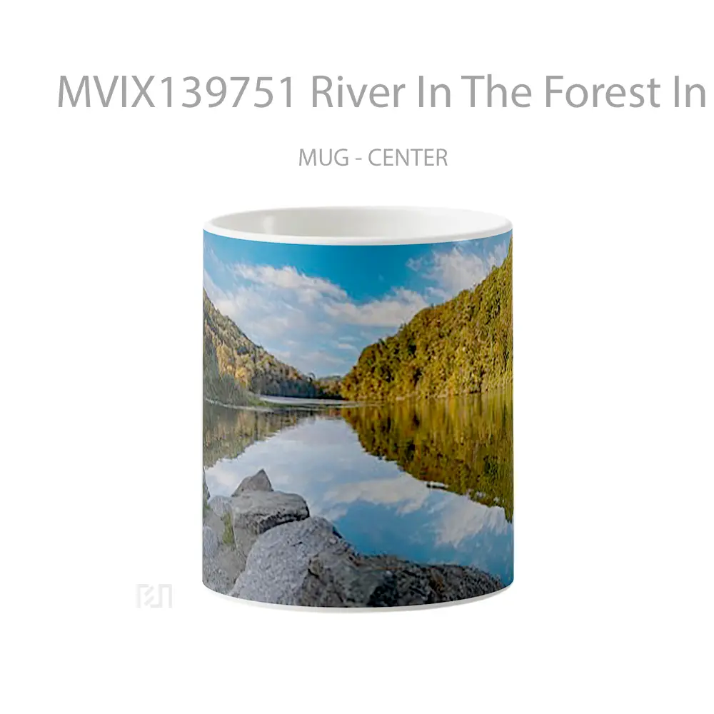 Mug River In The Forest In Switzerland Gelas Pemandangan Alam
