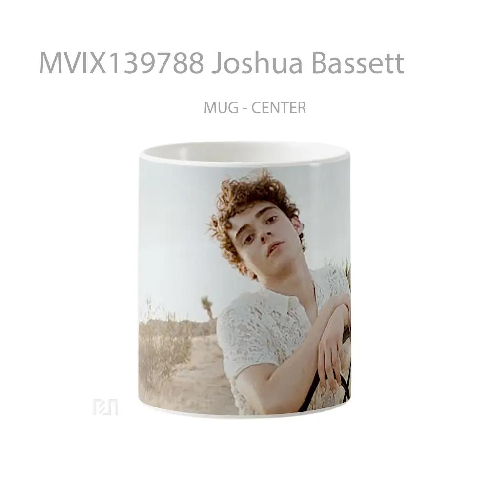 Mug Joshua Bassett Gelas Keramik Unik