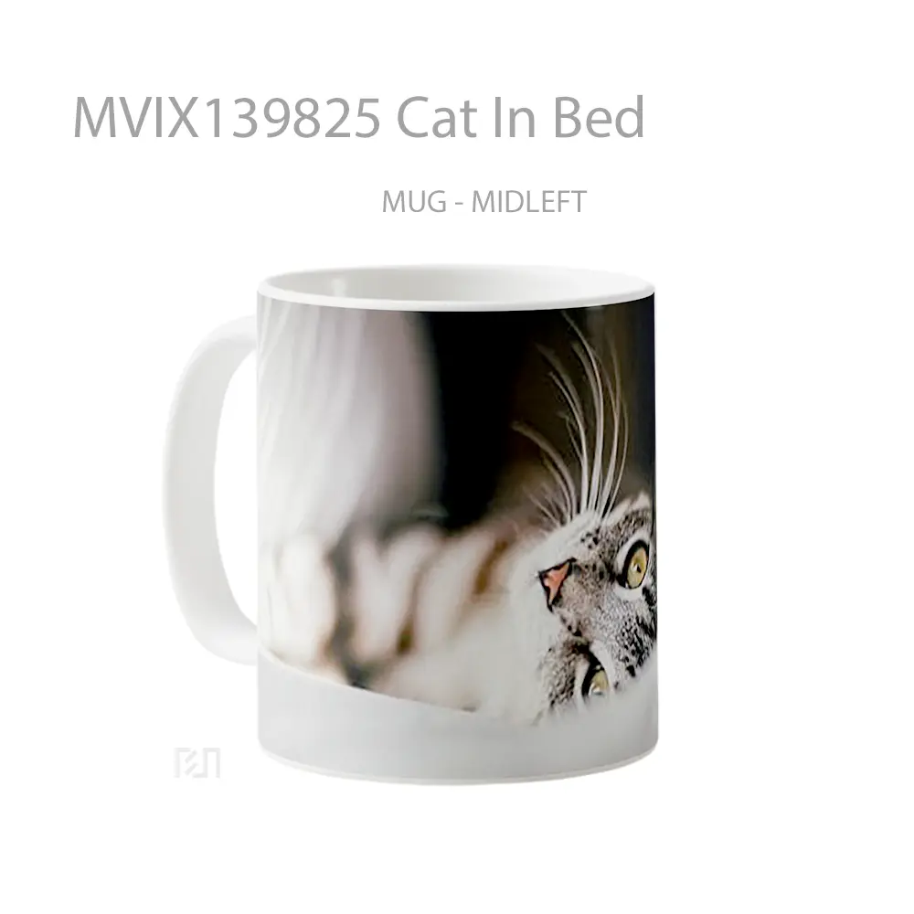 Mug Cat In Bed Gelas Hewan Lucu - All-side / Desain