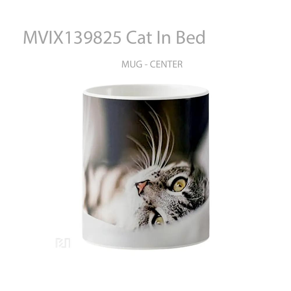 Mug Cat In Bed Gelas Hewan Lucu
