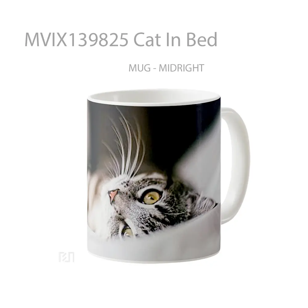 Mug Cat In Bed Gelas Hewan Lucu - All-side / Desain