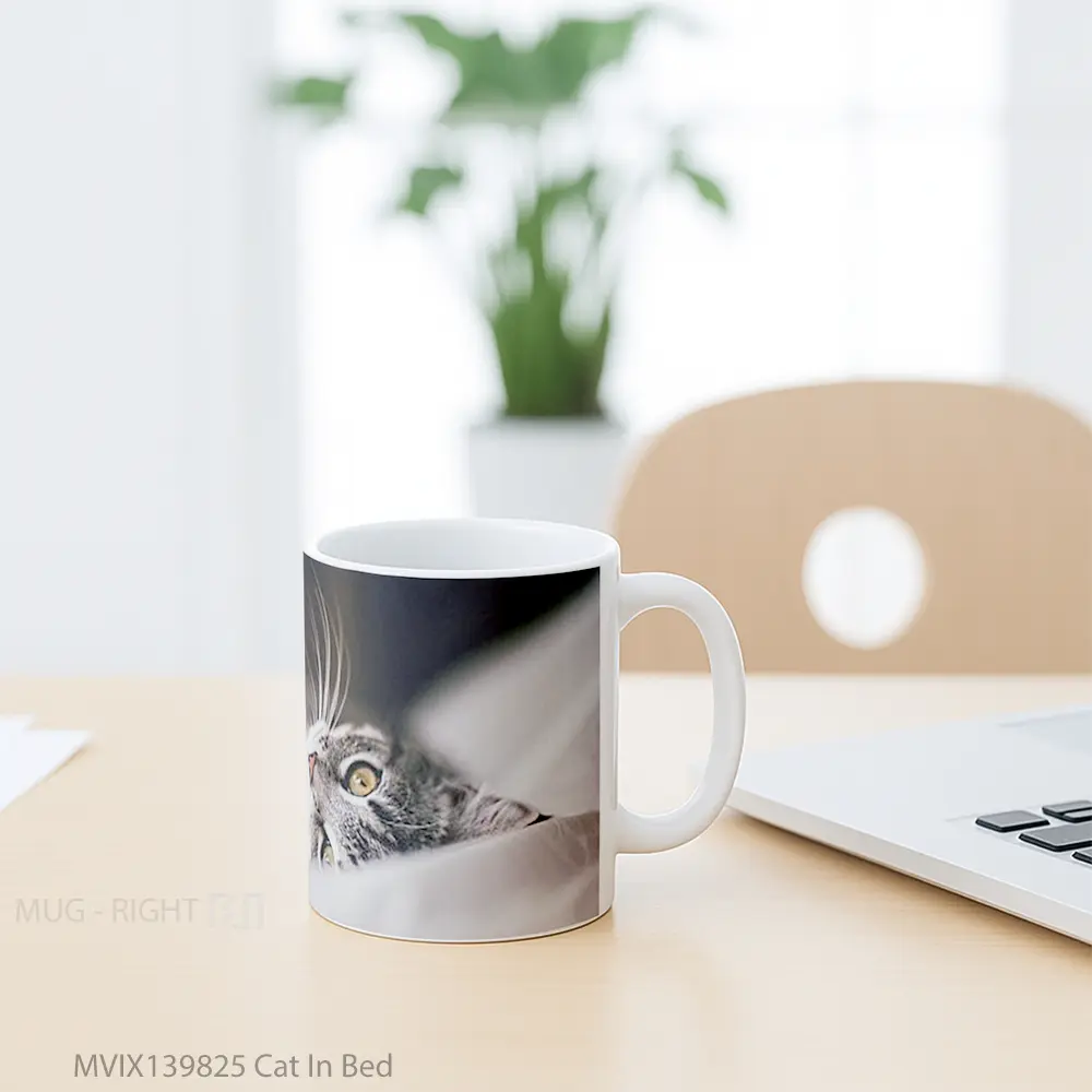 Mug Cat In Bed Gelas Hewan Lucu - All-side / Desain
