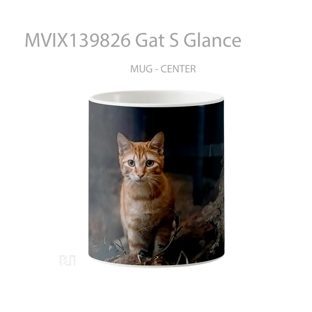 Mug Gat S Glance Gelas Keramik Unik