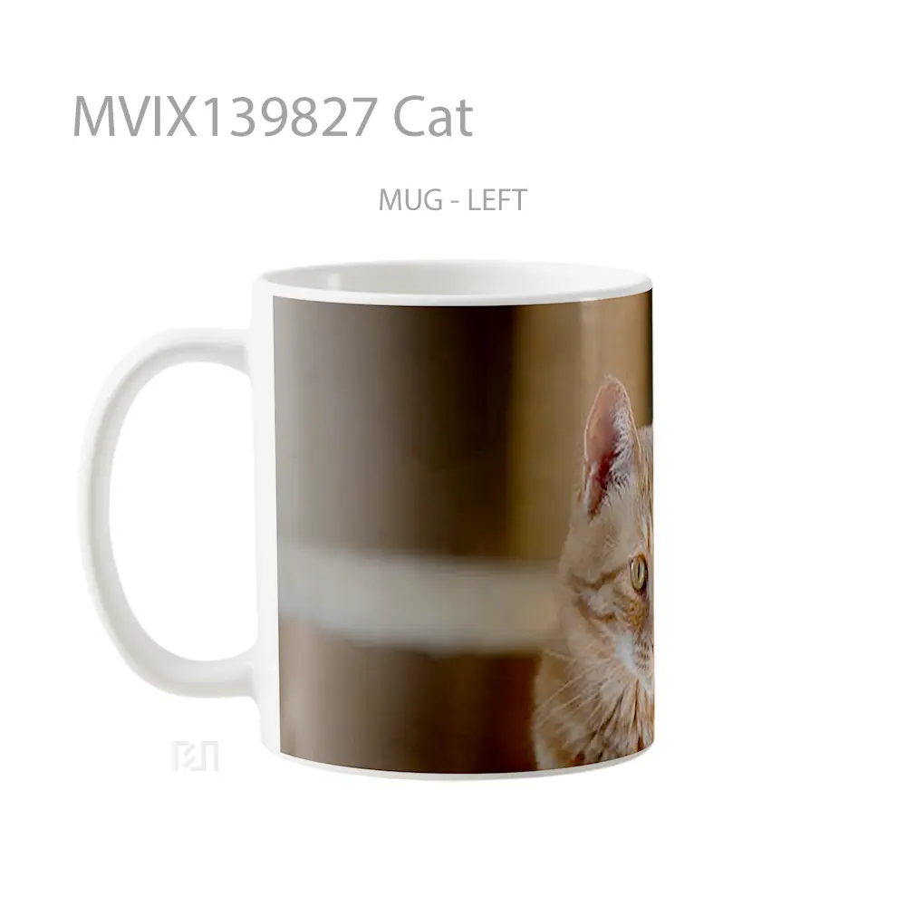 Mug Cat Gelas Hewan Lucu - All-side / Desain