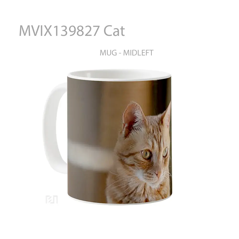 Mug Cat Gelas Hewan Lucu - All-side / Desain