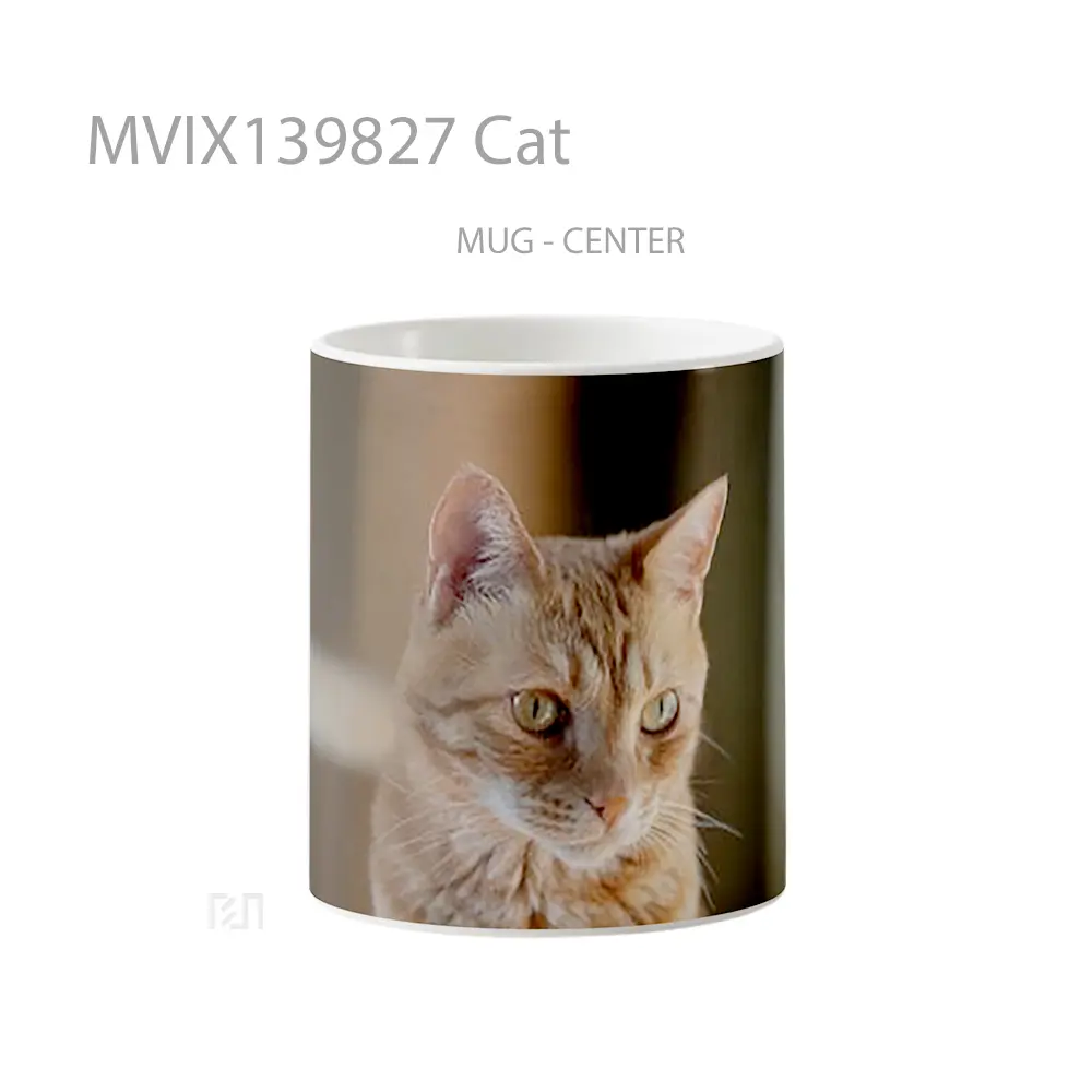 Mug Cat Gelas Hewan Lucu