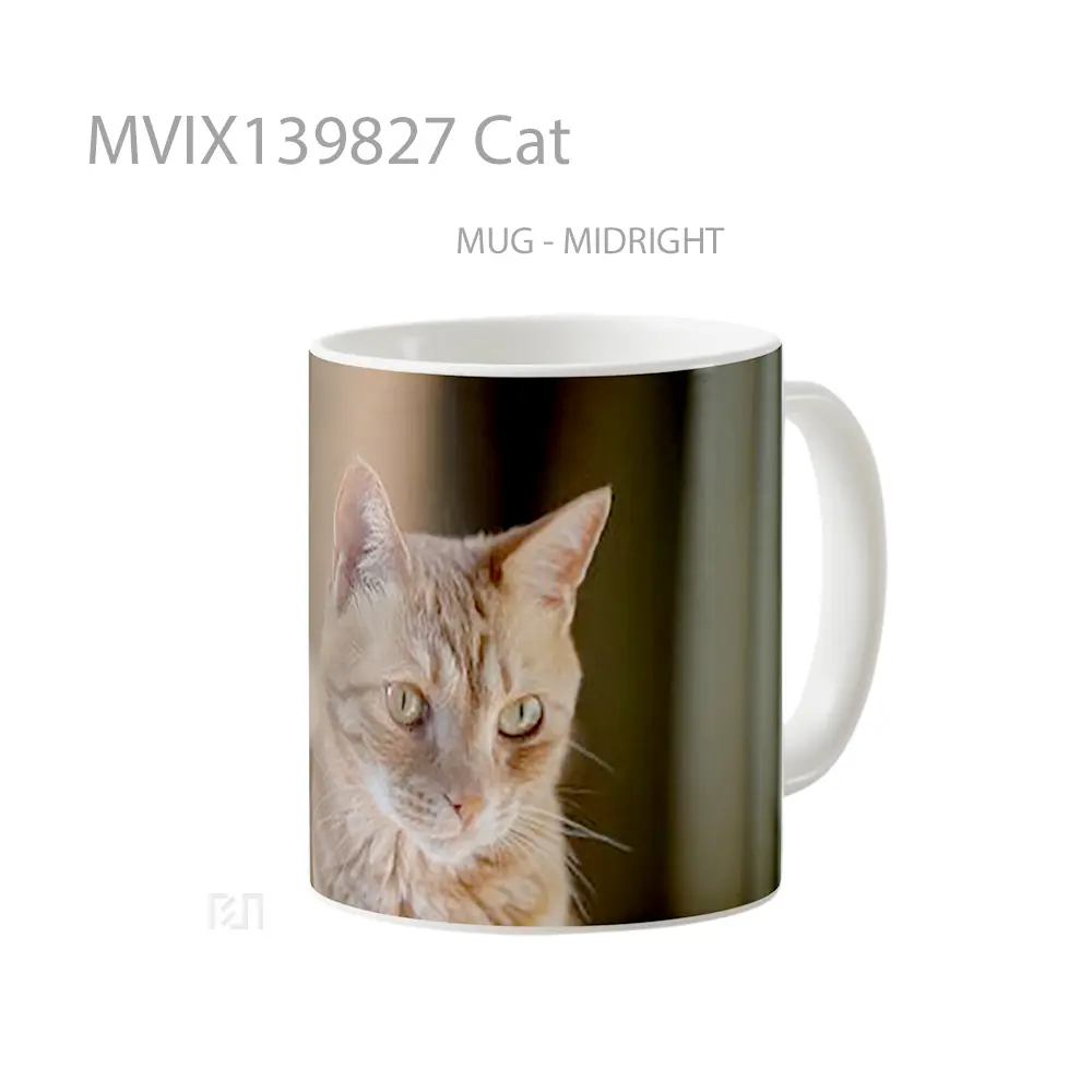 Mug Cat Gelas Hewan Lucu - All-side / Desain