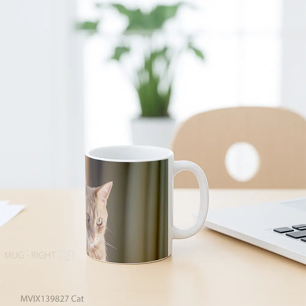 Mug Cat Gelas Hewan Lucu - All-side / Desain