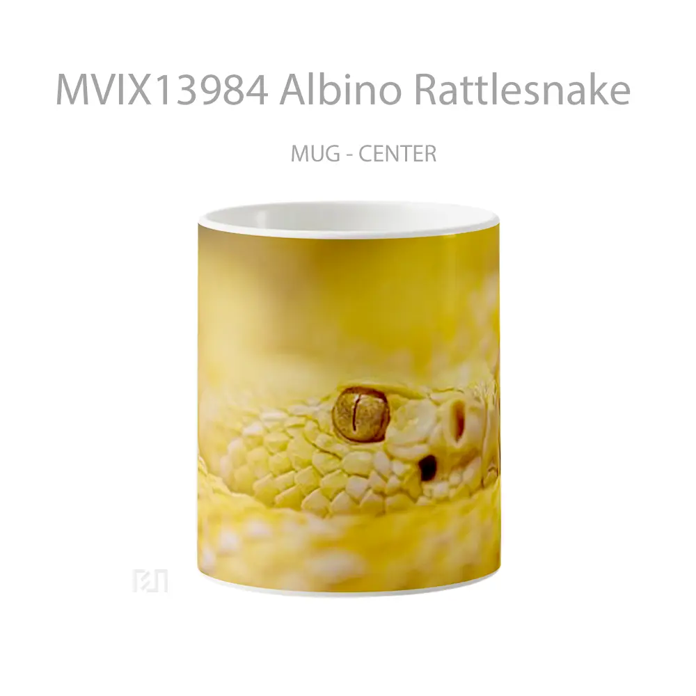 Mug Albino Rattlesnake Gelas Keramik Unik
