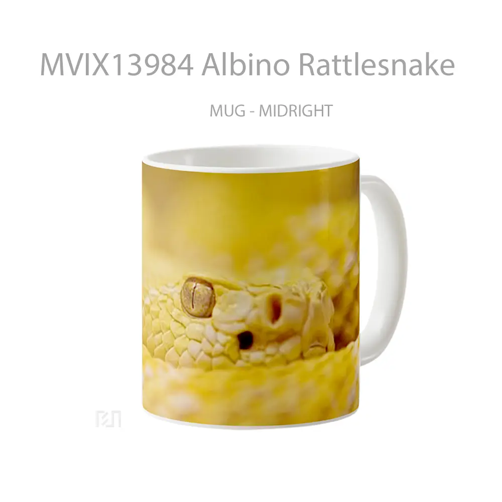 Mug Albino Rattlesnake Gelas Keramik Unik - All-side / Desain