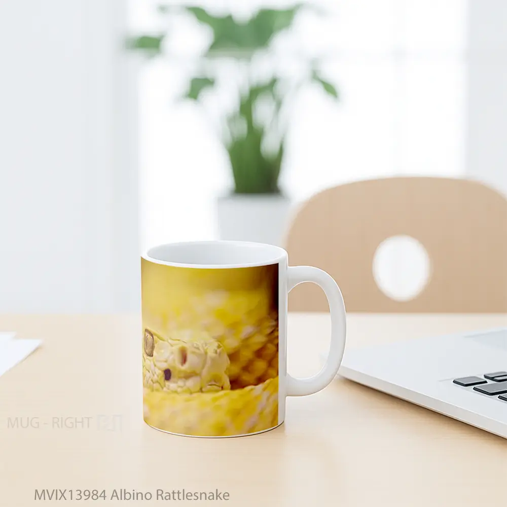 Mug Albino Rattlesnake Gelas Keramik Unik - All-side / Desain