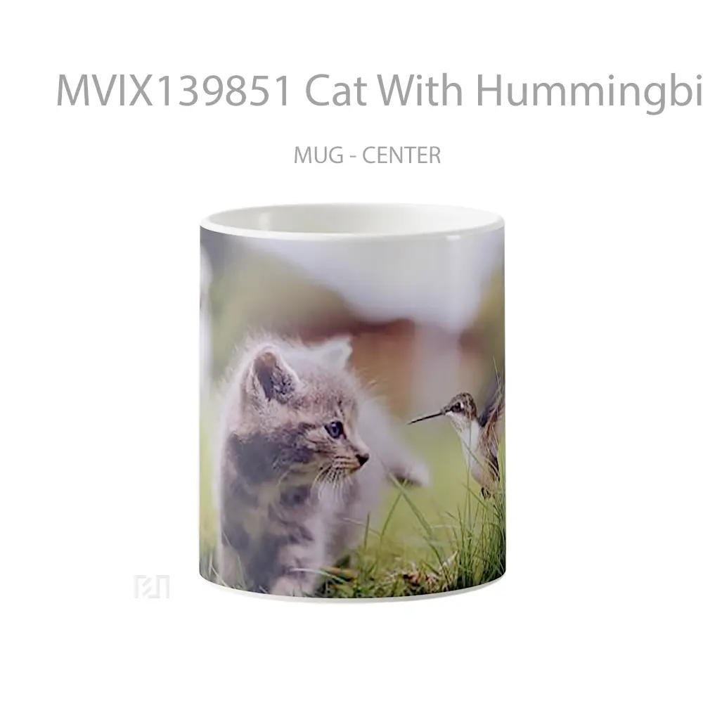 Mug Cat With Hummingbird Gelas Hewan Lucu