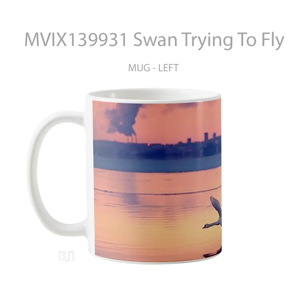 Mug Swan Trying To Fly Gelas Keramik Unik - All-side / Desain