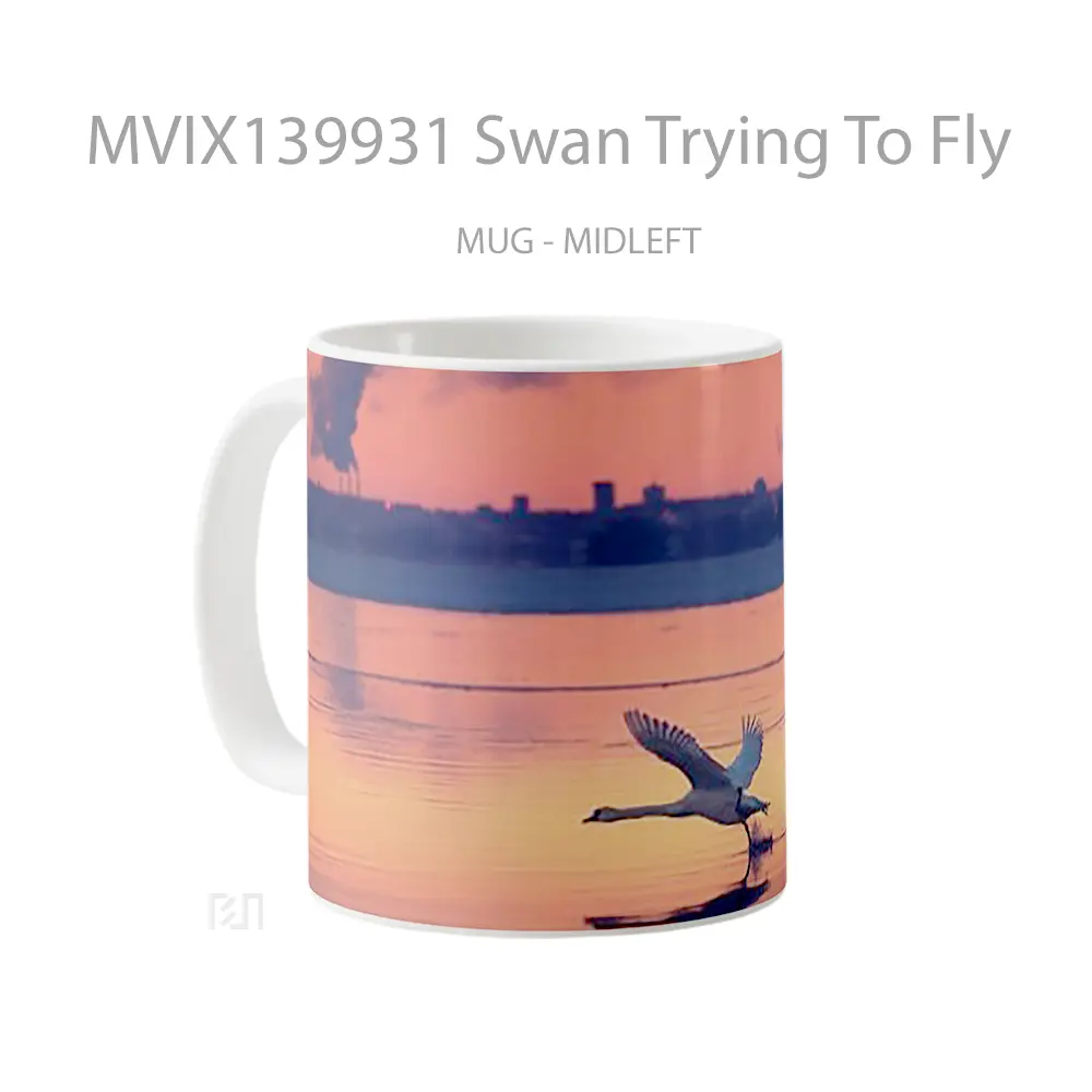 Mug Swan Trying To Fly Gelas Keramik Unik - All-side / Desain