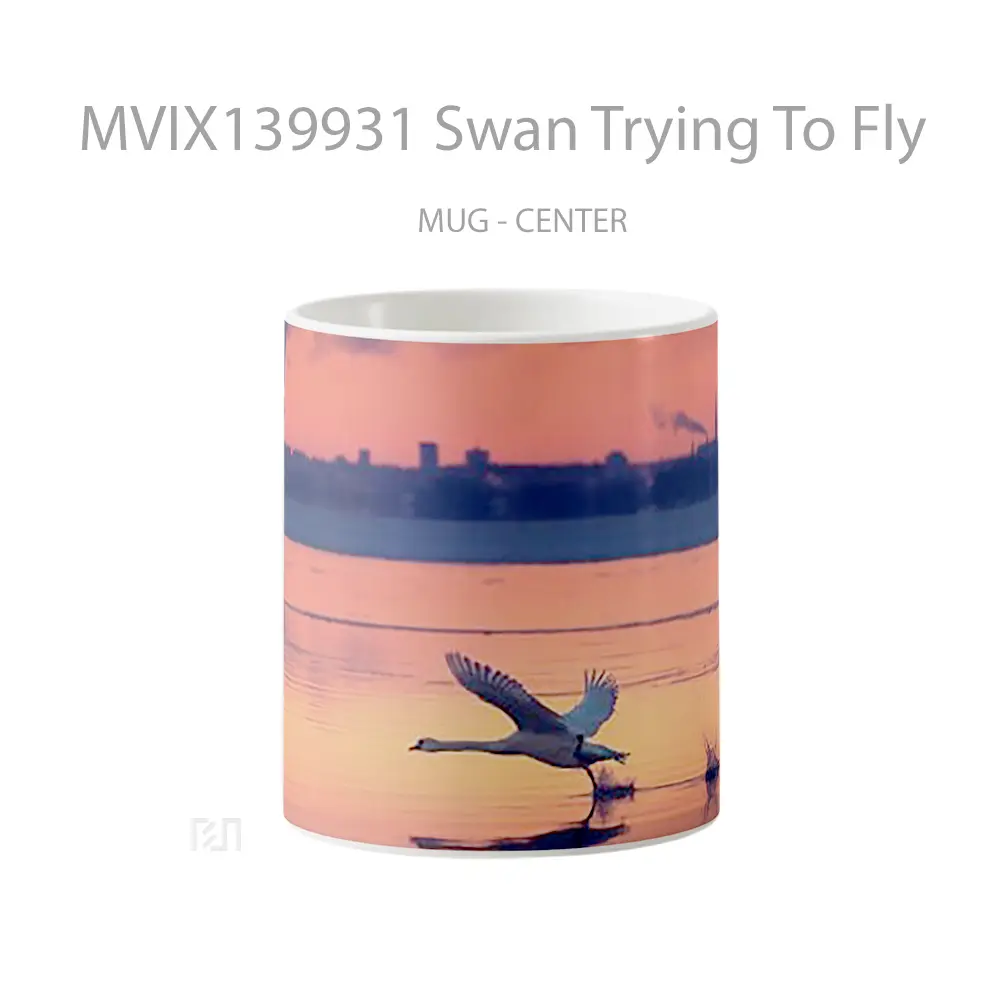 Mug Swan Trying To Fly Gelas Keramik Unik