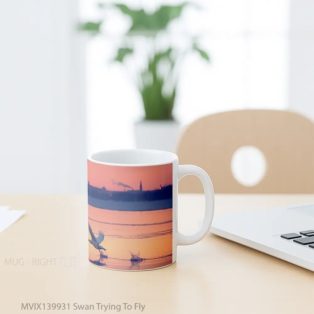 Mug Swan Trying To Fly Gelas Keramik Unik - All-side / Desain