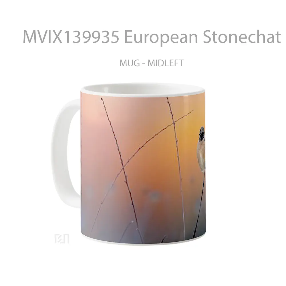 Mug European Stonechat Gelas Keramik Unik - All-side / Desain
