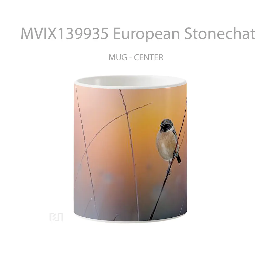 Mug European Stonechat Gelas Keramik Unik