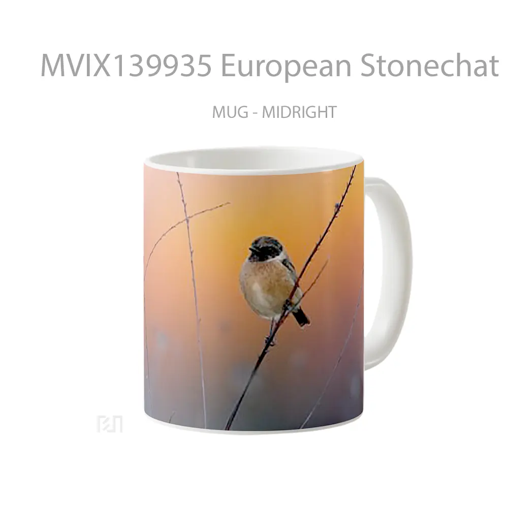 Mug European Stonechat Gelas Keramik Unik - All-side / Desain