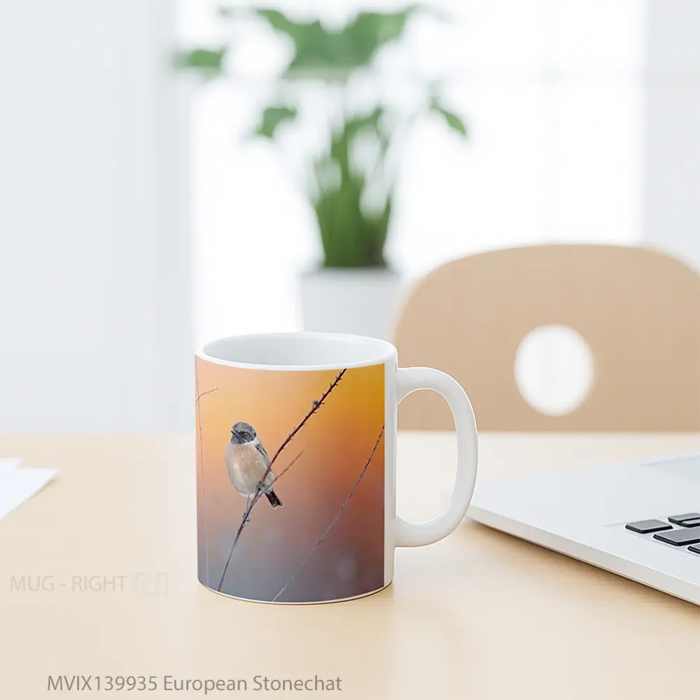 Mug European Stonechat Gelas Keramik Unik - All-side / Desain