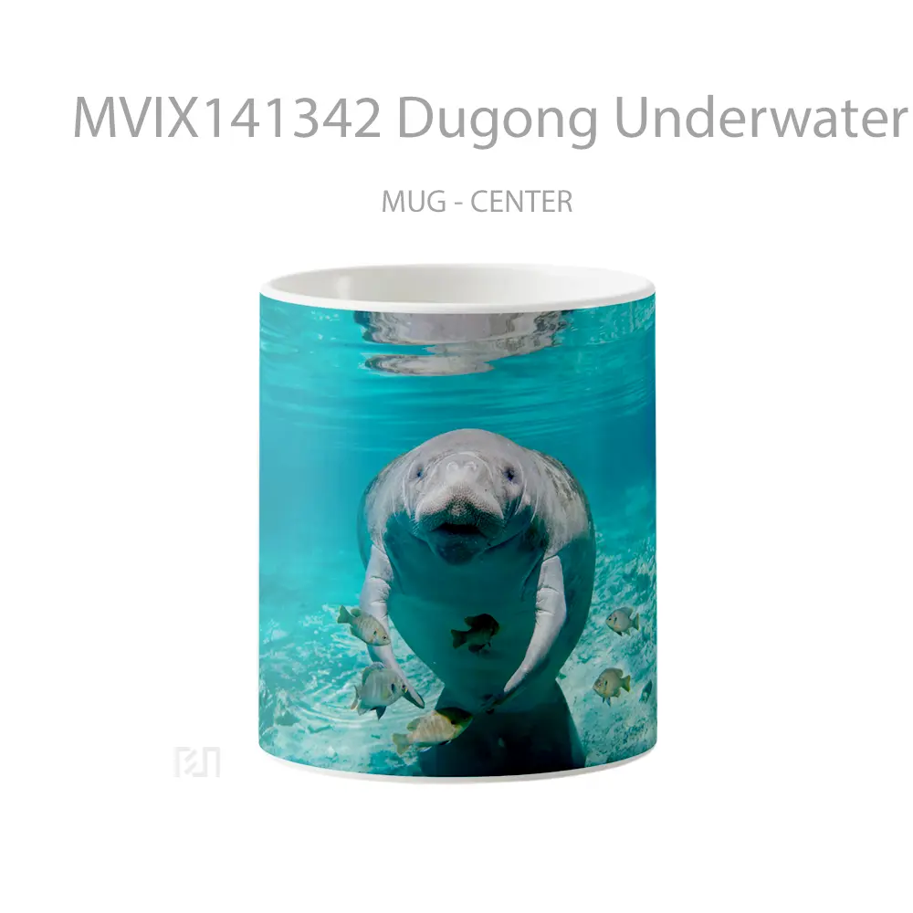 Mug Dugong Underwater Animal Gelas Hewan Lucu
