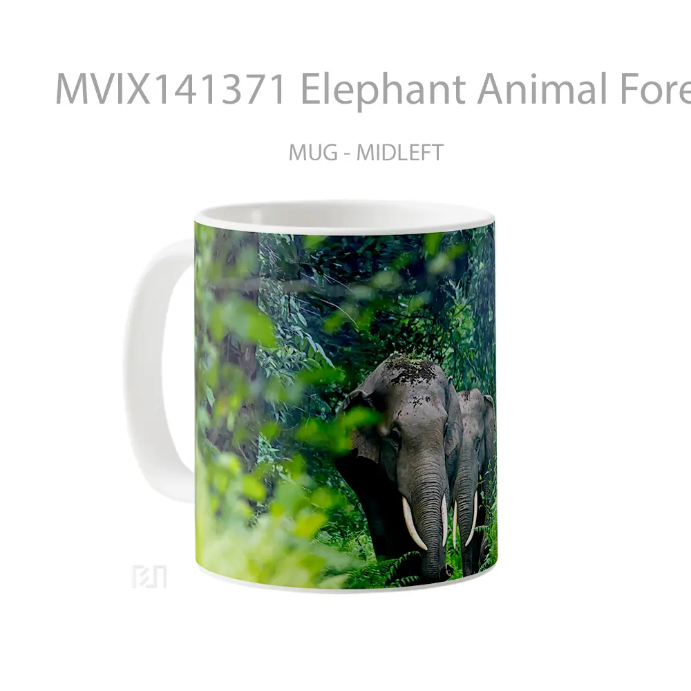 Mug Elephant Animal Forest Gelas Hewan Lucu - All-side / Desain