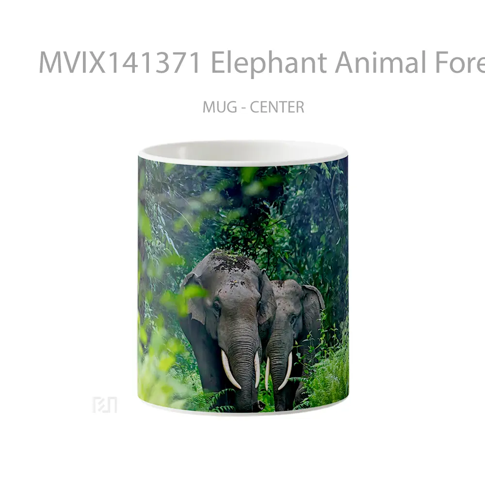 Mug Elephant Animal Forest Gelas Hewan Lucu