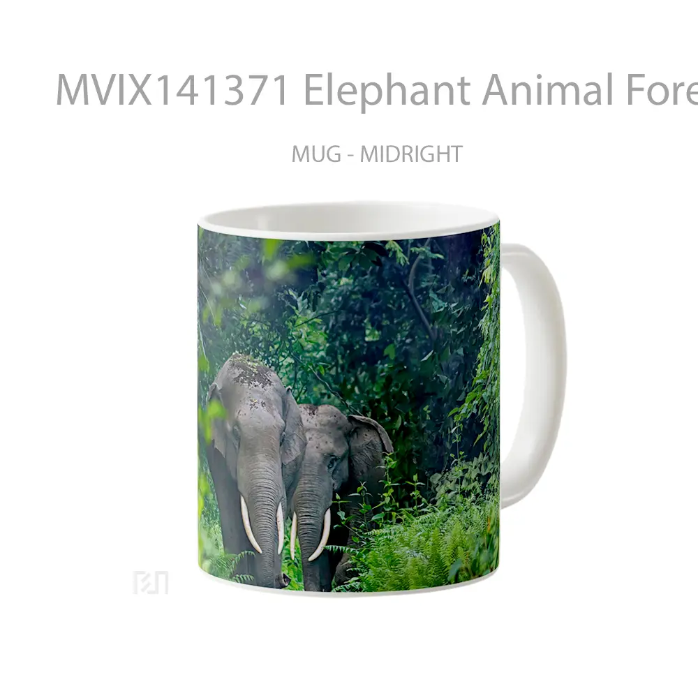 Mug Elephant Animal Forest Gelas Hewan Lucu - All-side / Desain