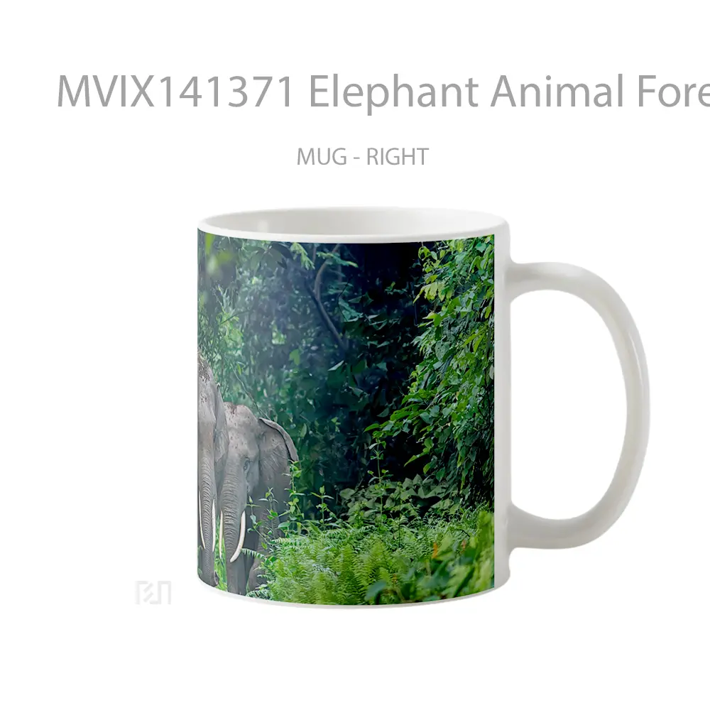 Mug Elephant Animal Forest Gelas Hewan Lucu - All-side / Desain