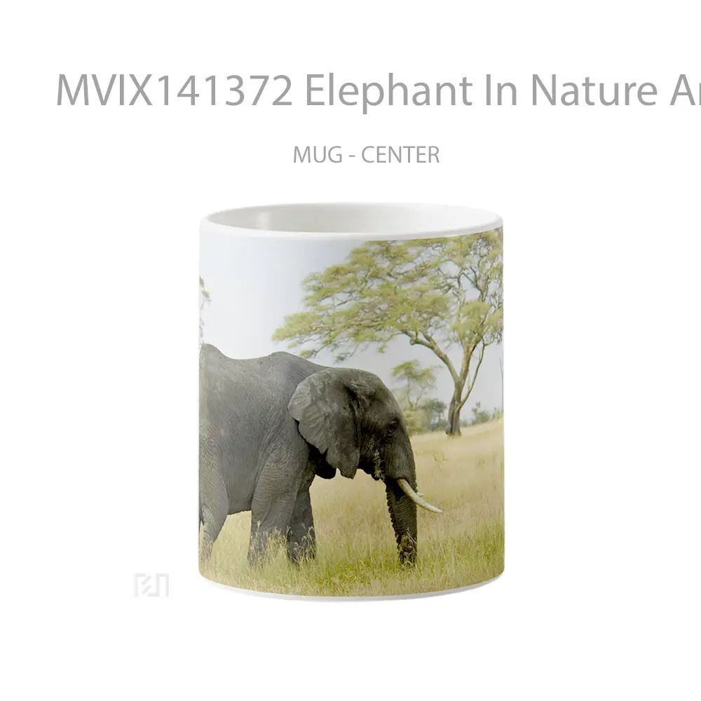 Mug Elephant In Nature Animal Gelas Hewan Lucu