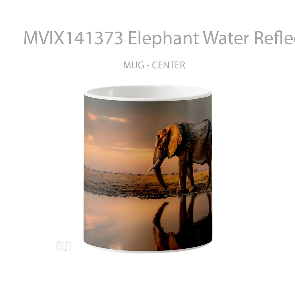 Mug Elephant Water Reflection Animal Gelas Hewan Lucu
