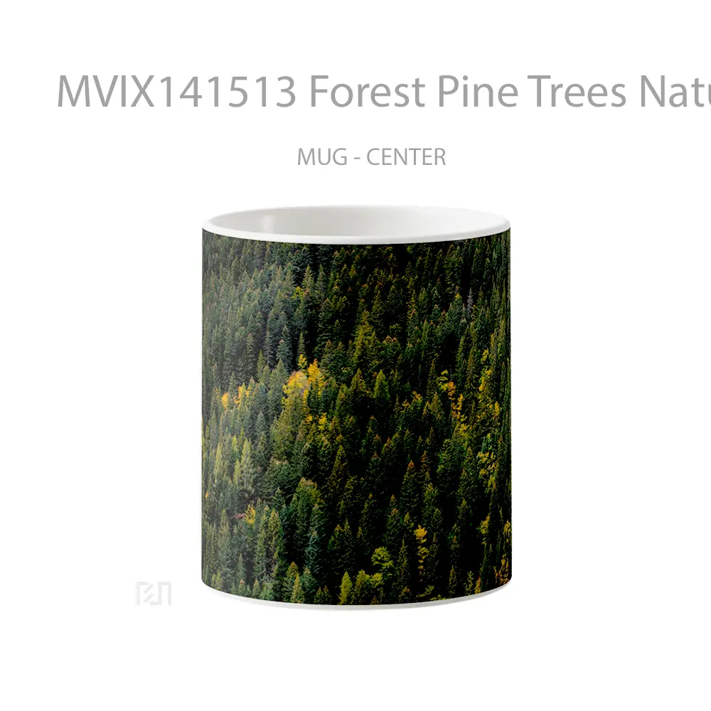 Mug Forest Pine Trees Nature Scenery Aerial View Gelas Pemandangan Alam