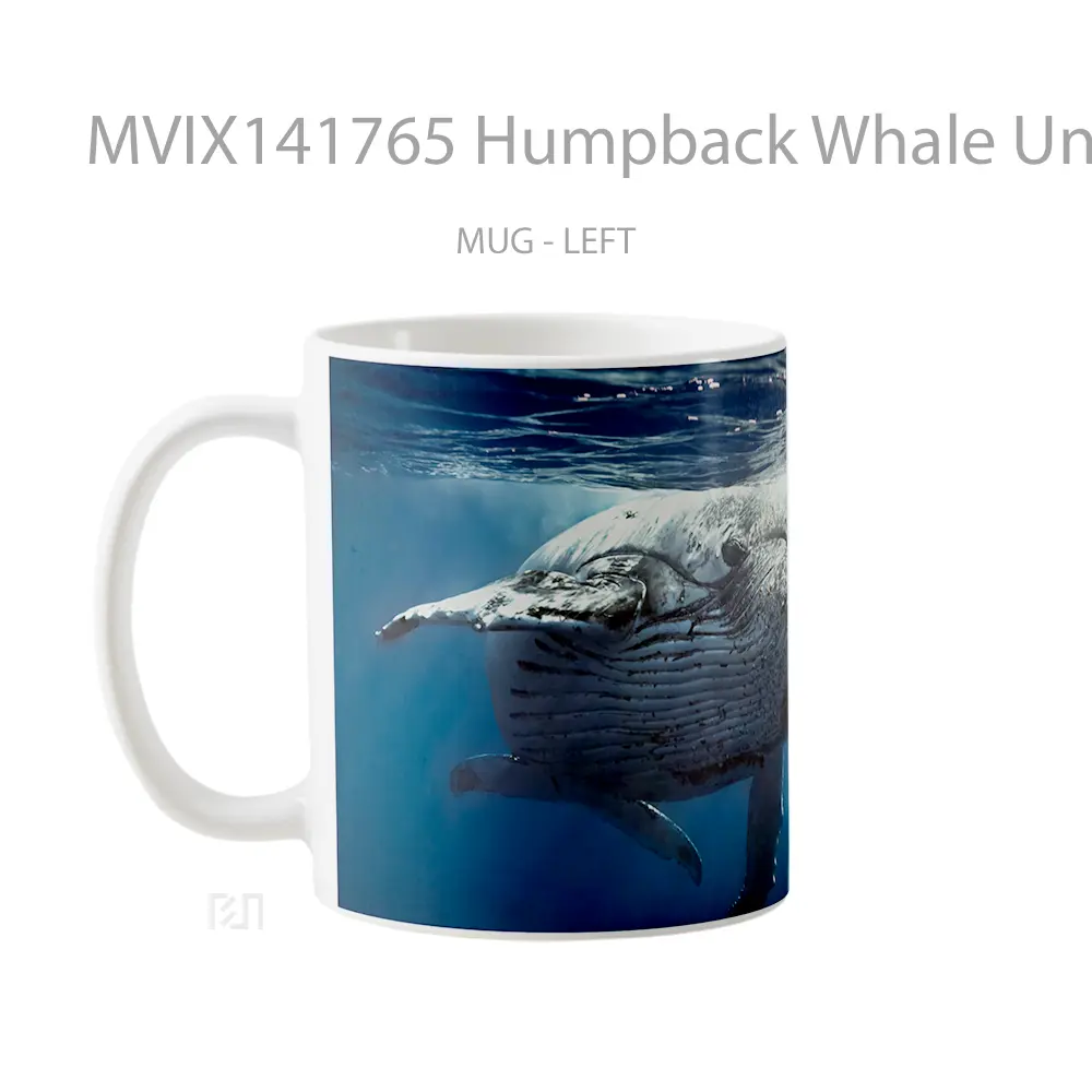 Mug Humpback Whale Underwater Gelas Keramik Unik - All-side / Desain