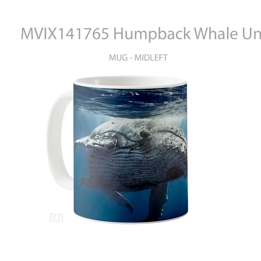 Mug Humpback Whale Underwater Gelas Keramik Unik - All-side / Desain