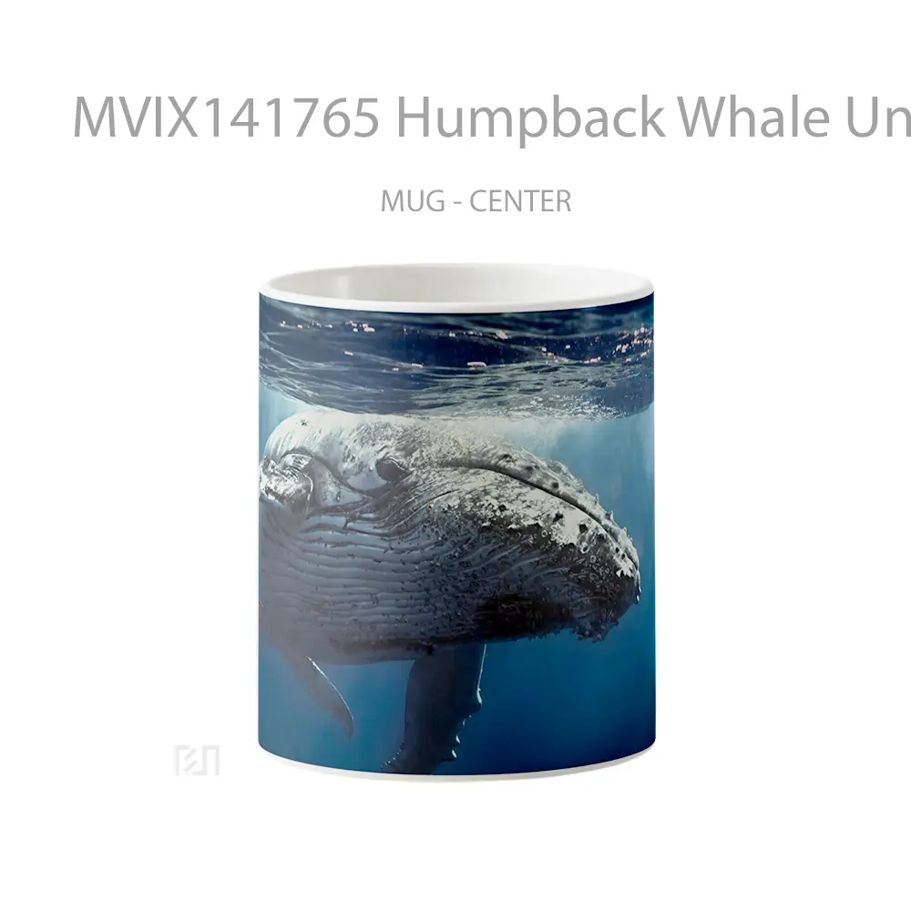 Mug Humpback Whale Underwater Gelas Keramik Unik