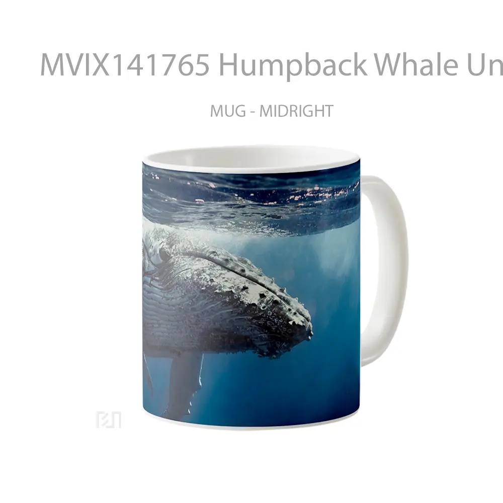 Mug Humpback Whale Underwater Gelas Keramik Unik - All-side / Desain