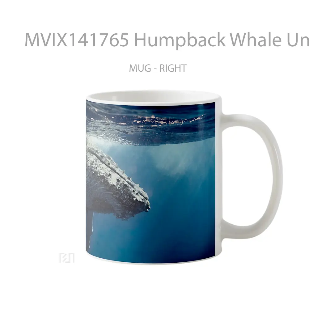 Mug Humpback Whale Underwater Gelas Keramik Unik - All-side / Desain