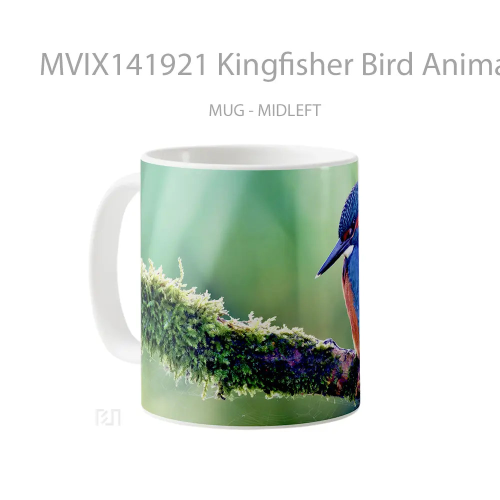 Mug Kingfisher Bird Animal Gelas Hewan Lucu - All-side / Desain