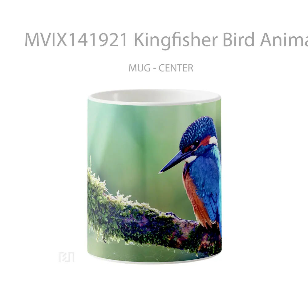 Mug Kingfisher Bird Animal Gelas Hewan Lucu