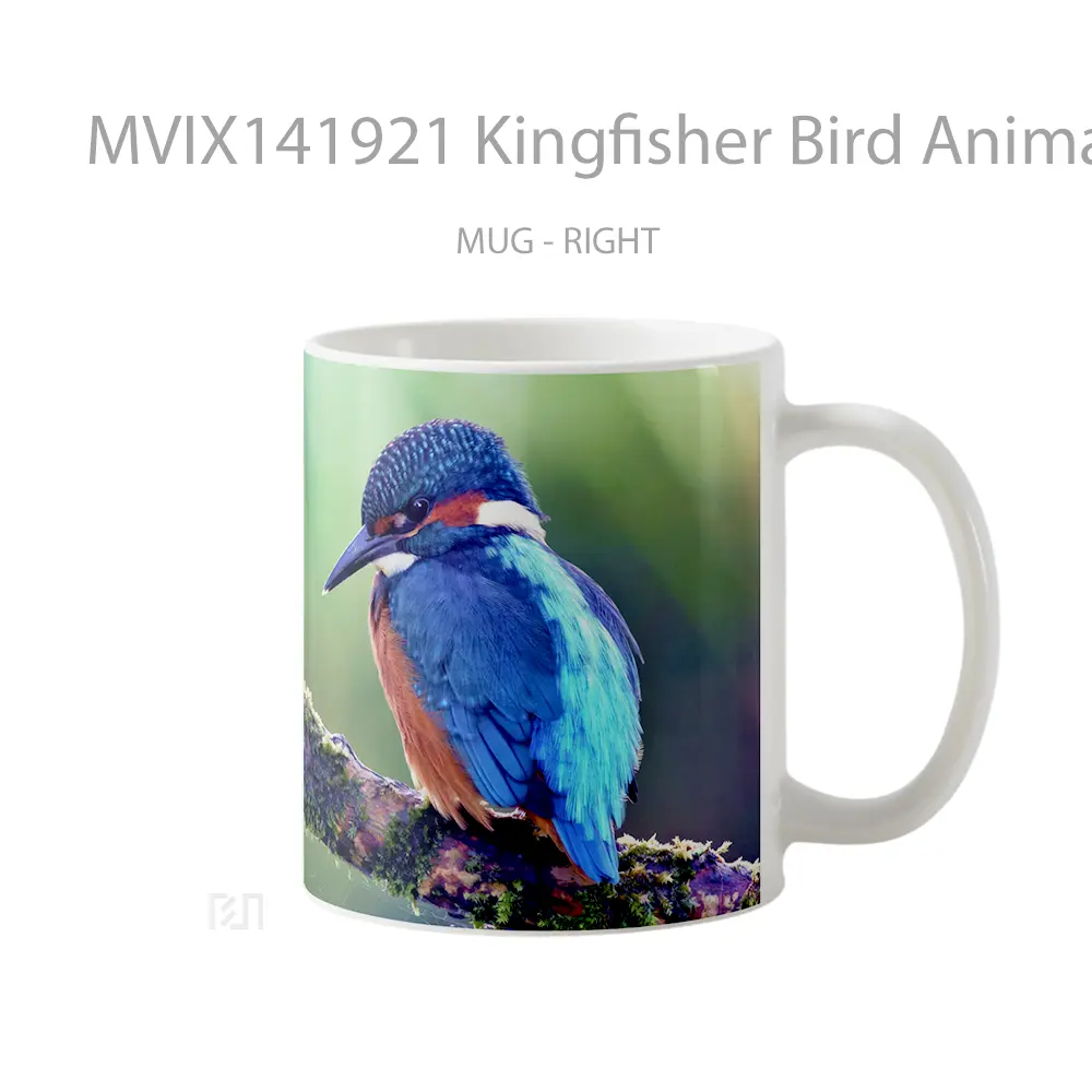 Mug Kingfisher Bird Animal Gelas Hewan Lucu - All-side / Desain