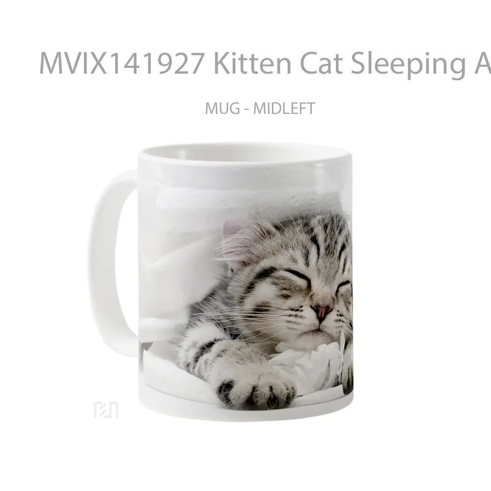 Mug Kitten Cat Sleeping Animal Gelas Hewan Lucu - All-side / Desain