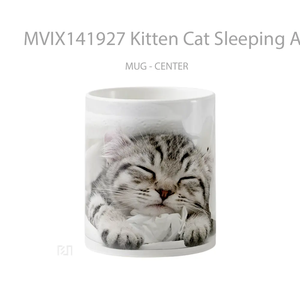 Mug Kitten Cat Sleeping Animal Gelas Hewan Lucu