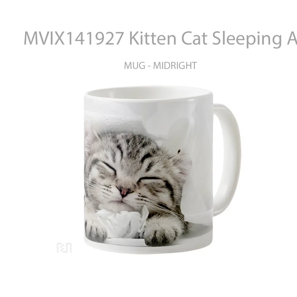 Mug Kitten Cat Sleeping Animal Gelas Hewan Lucu - All-side / Desain