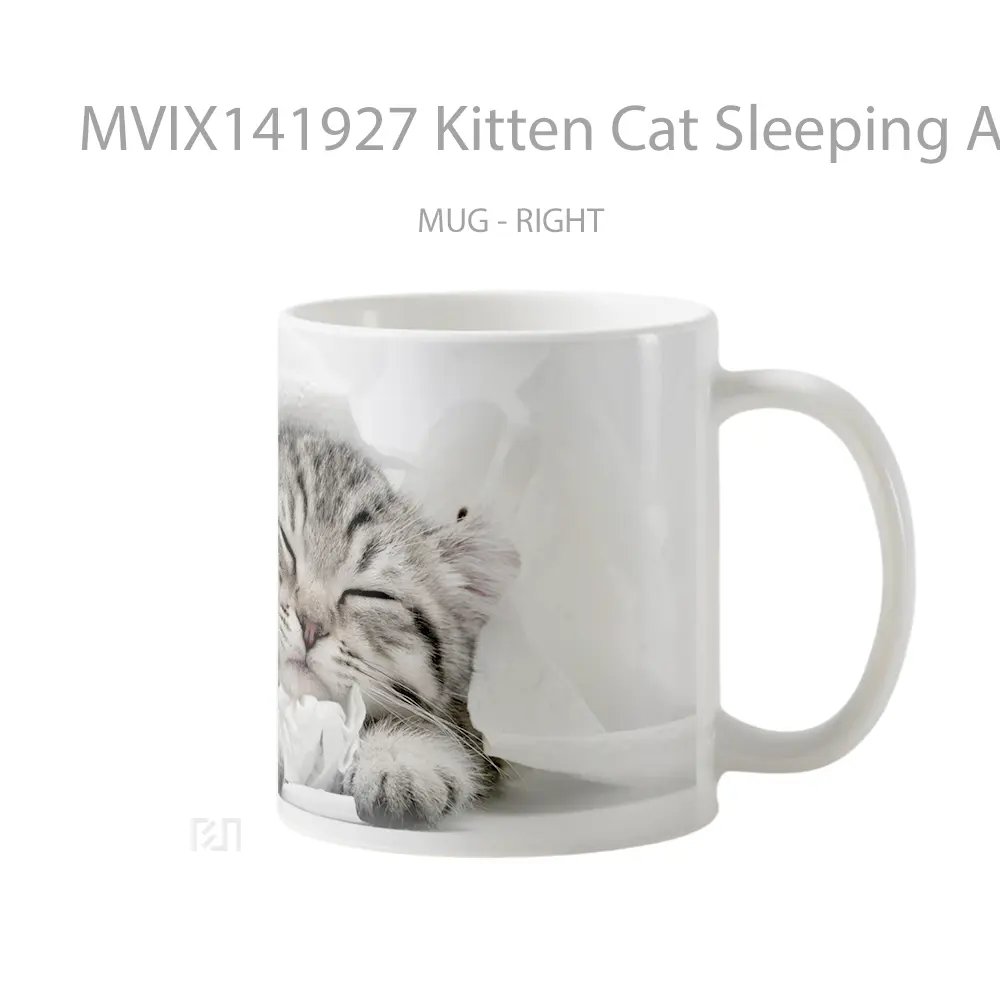 Mug Kitten Cat Sleeping Animal Gelas Hewan Lucu - All-side / Desain