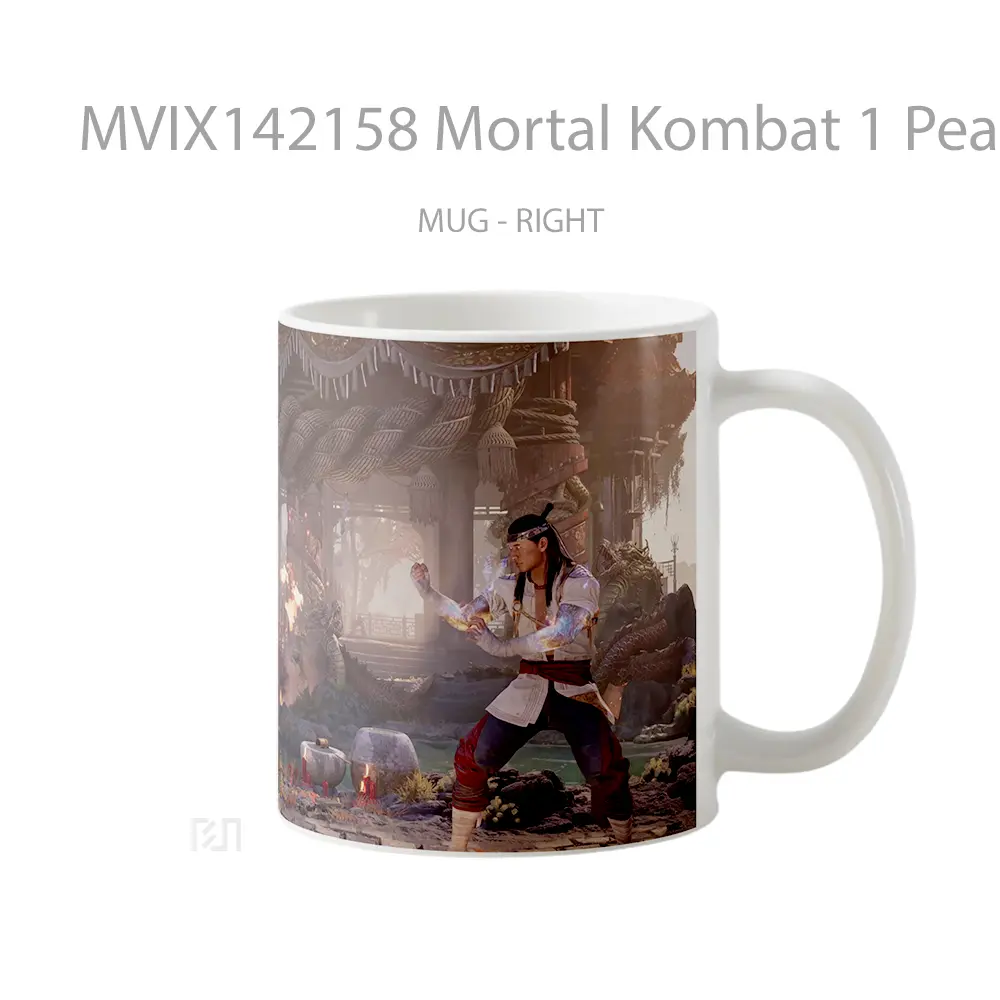 Mug Mortal Kombat 1 Peacemaker Vs Fire God Liu Kang Gelas Keramik Unik - All-side / Desain