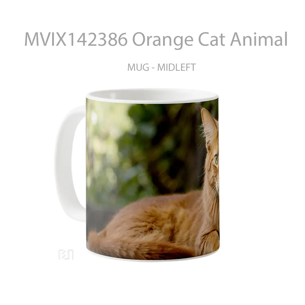Mug Orange Cat Animal Gelas Hewan Lucu - All-side / Desain
