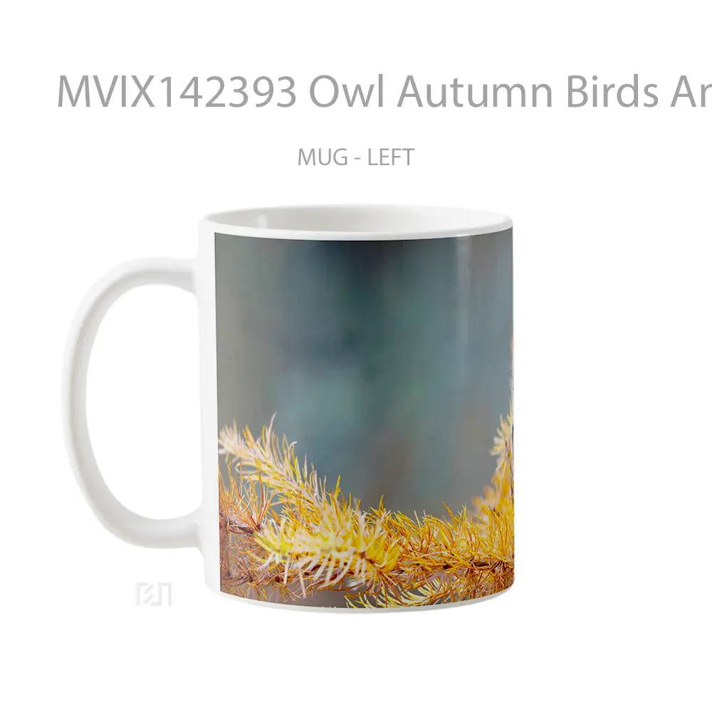 Mug Owl Autumn Birds Animals Gelas Hewan Lucu - All-side / Desain