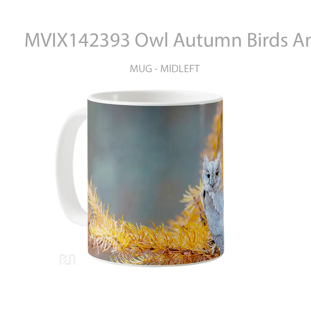 Mug Owl Autumn Birds Animals Gelas Hewan Lucu - All-side / Desain