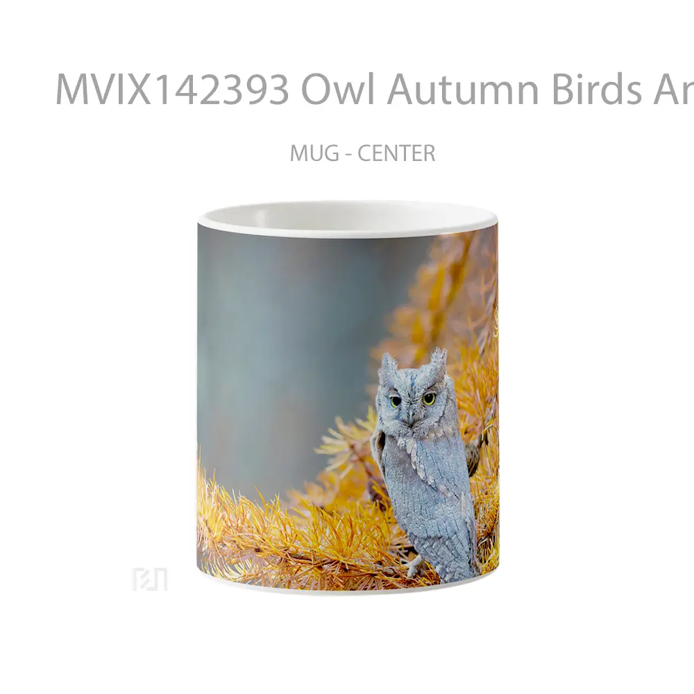 Mug Owl Autumn Birds Animals Gelas Hewan Lucu
