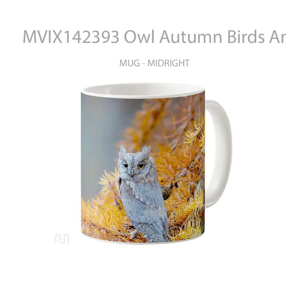 Mug Owl Autumn Birds Animals Gelas Hewan Lucu - All-side / Desain